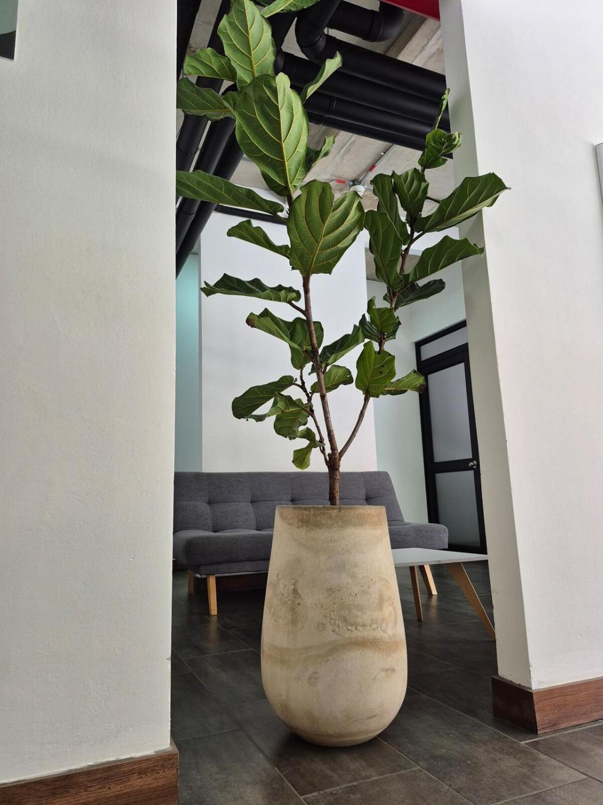 Comfortable Loft 715-infinitum 58 Apartamento *
